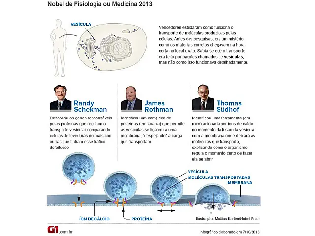 Dois americanos e um alemão levam o Nobel de Medicina de 2013