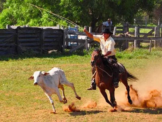 Festival Pantaneiro é instituído no Calendário Oficial de MS