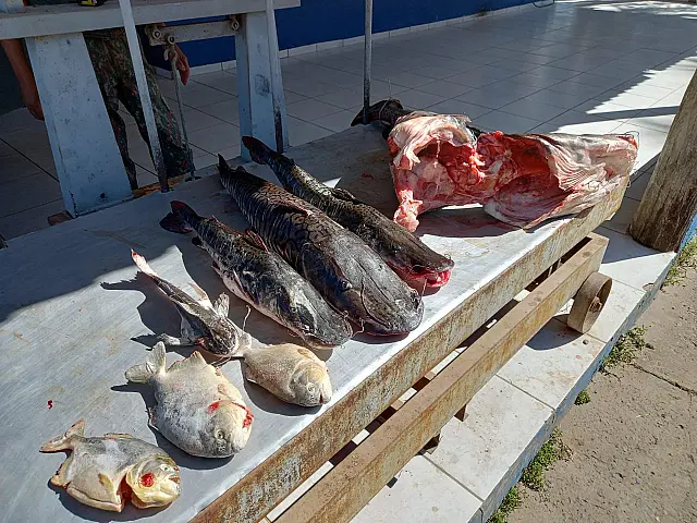 PMA autua dono de rancho de pesca em R$ 1,6 mil