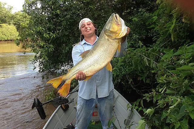 Pescador briga por 15 minutos e consegue retirar da água dourado de 13 quilos
