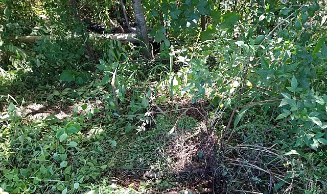 Indígena é esfaqueado e morre em colheita de maçã no RS