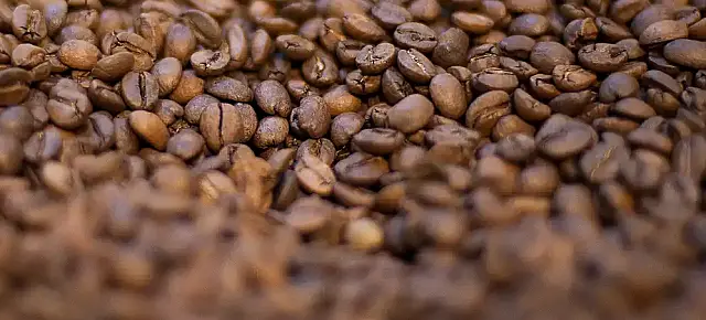 Agricultura manda recolher 16 marcas de cafés impróprios para consumo