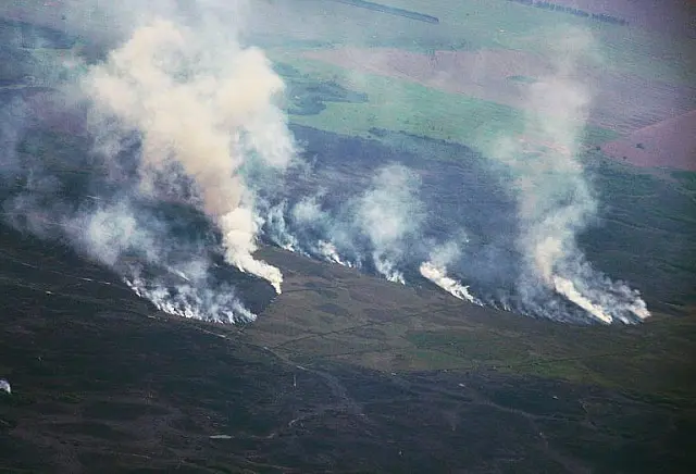 Após seis dias, incêndio que consumiu 28 mil hectares no Parque do Ivinhema é controlado