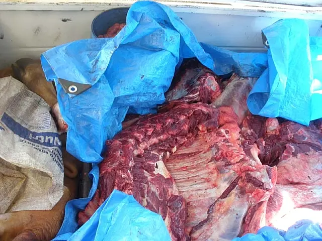 Carne apreendida em Anastácio poderia causar sérios danos ao consumidor