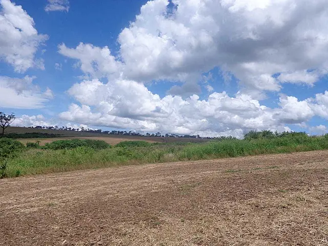 PMA de Dourados autua pecuarista em R$ 57 mil por desmatamento ilegal