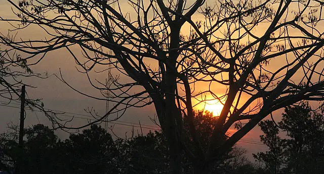 Umidade do ar chegará ao estado de emergência no Pantanal, na quinta-feira