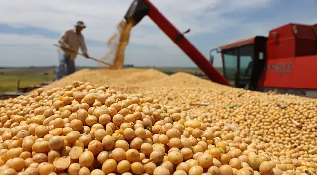 Soja e celulose puxam exportações de MS e saldo da balança comercial até outubro cresce 29%