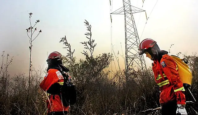 Com reforço, força-tarefa retoma combate às queimadas no Pantanal da Nhecolândia