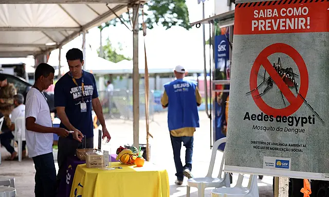 Casos de dengue no Brasil caem 60% nas primeiras semanas do ano