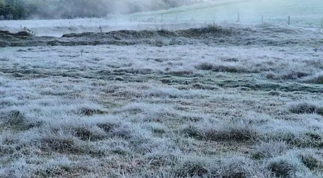 Fim de semana promete ser frio e com possibilidade de geada em toda a região