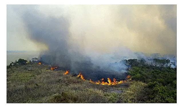 Queima controlada em MS continua proibida até último dia de dezembro