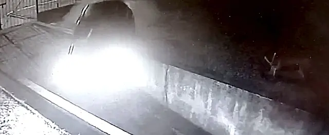 Câmera de segurança mostra momento exato que motorista entrou 'voando' com o carro no INSS