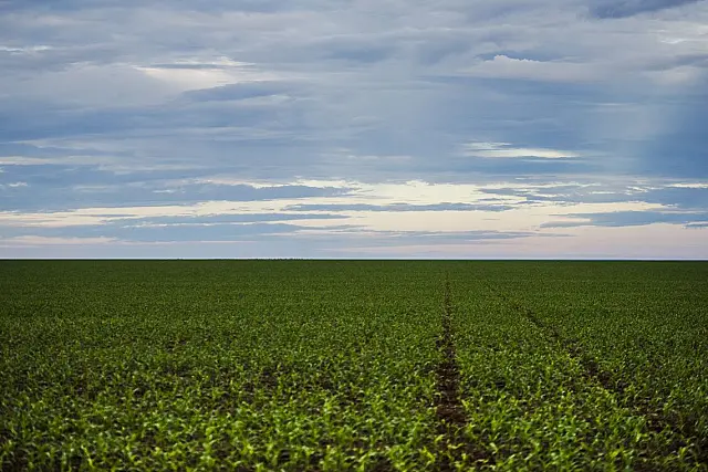 Marco regulatório para agrotóxicos é publicado no DOU