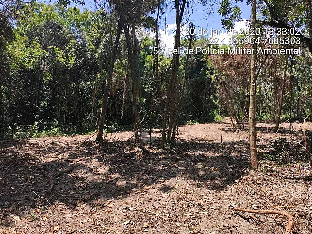 Dono de rancho é multado em R$ 5 mil por desmatamento à margem o rio Pardo