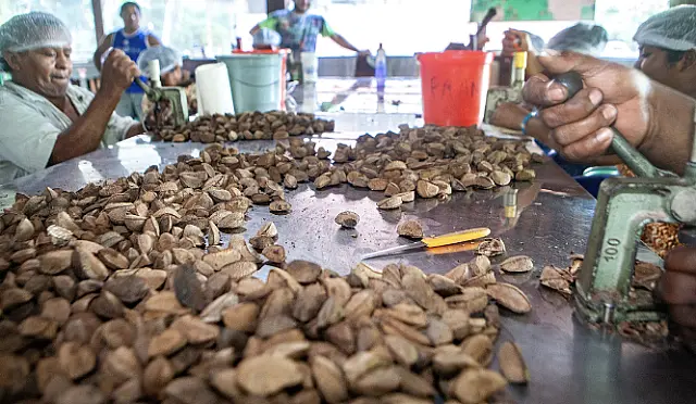 Governo estuda modelo de desenvolvimento pela sociobioeconomia