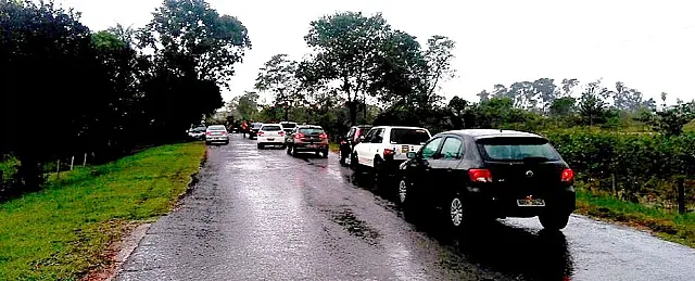 Temporal derruba árvores e provoca congestionamento na rodovia entre Aquidauana e Uems