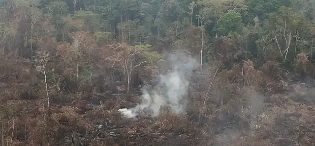 Amazônia tem 2,5 milhões de hectares queimados em agosto