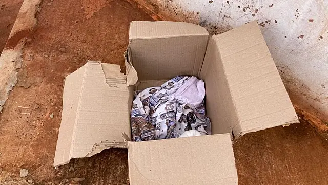Recém-nascido é abandonado em caixa de papelão em calçada