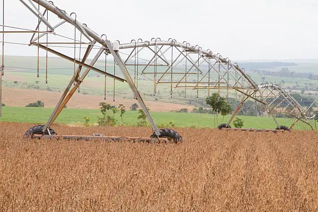 Agropecuária lidera aumento de 16,6% das exportações em outubro