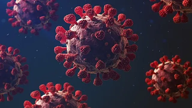 MS confirma 1.151 casos novos e mais 40 mortes por Covid-19