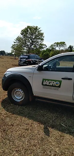 Polícia Civil e Iagro investigam rebanho em propriedade rural de Rochedo