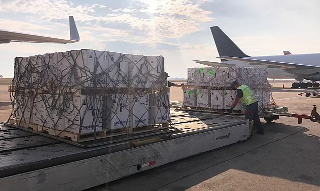 Covid-19: país recebe lote com 2,4 milhões de vacinas da Pfizer