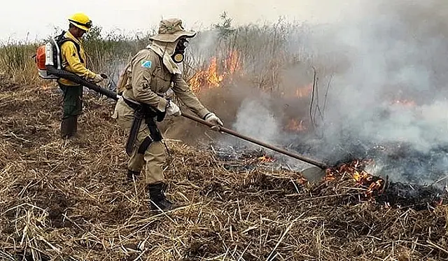 Governador pleiteia fundo para recuperar prejuízos com queimadas no Pantanal