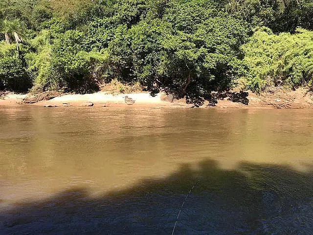 Corpo de rapaz que vive em casa de reabilitação é encontrado em pesqueiro