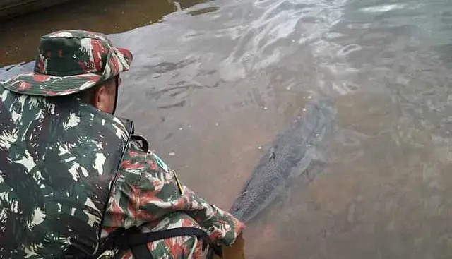 Durante piracema, pesqueiros são opções para quem não vive sem a pesca