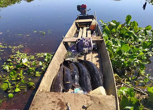 Jovem de 20 anos foi preso com pescado e petrechos proibidos em Corumbá