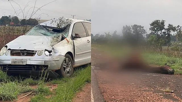 Motorista atropela cavalo em rodovia e uma pessoa é socorrida pelos bombeiros