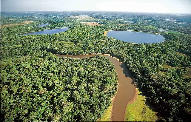 Programa vai recuperar economia do bioma Pantanal