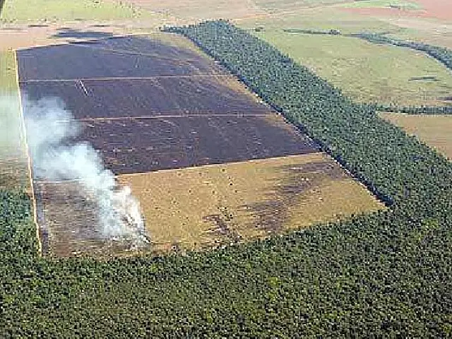Estudo revela impactos ambientais da BR-163 nas cidades cortadas pela rodovia