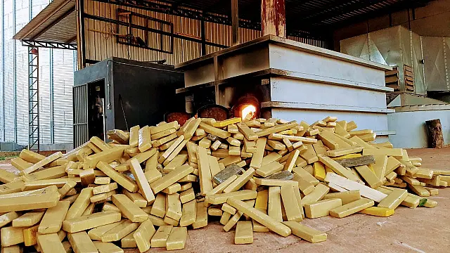 Polícia incinera quase 300 quilos de drogas apreendidas em Ladário e Corumbá