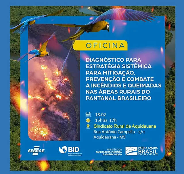 Sebrae realiza oficina sobre mitigação e combate a incêndios no Pantanal