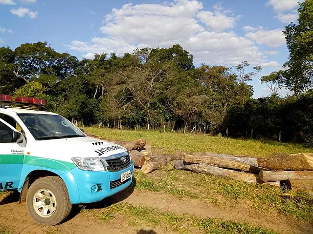 Produtor rural de Anastácio é autuado por armazenamento ilegal de 23 toras de madeira