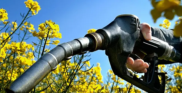 Governo vai nacionalizar produção de biocombustíveis
