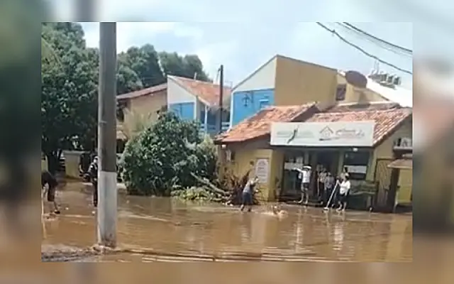 Temporal alaga ruas e derruba pelo menos 15 árvores em Bonito