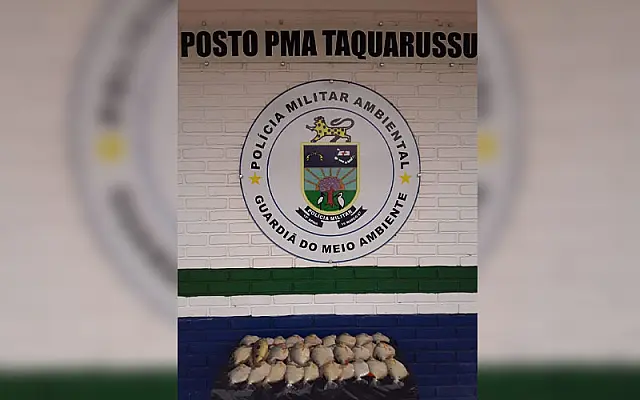 Campo-grandense é preso pela PMA em Anastácio por pesca ilegal
