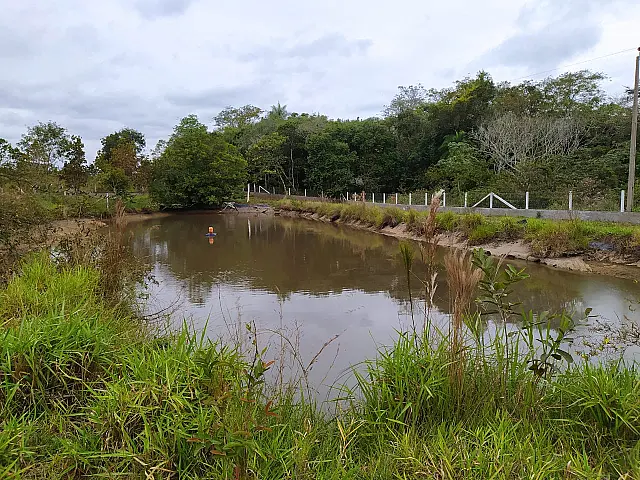 Empresário é multado em R$ 40 mil por danificação a área do Rio Aquidauana