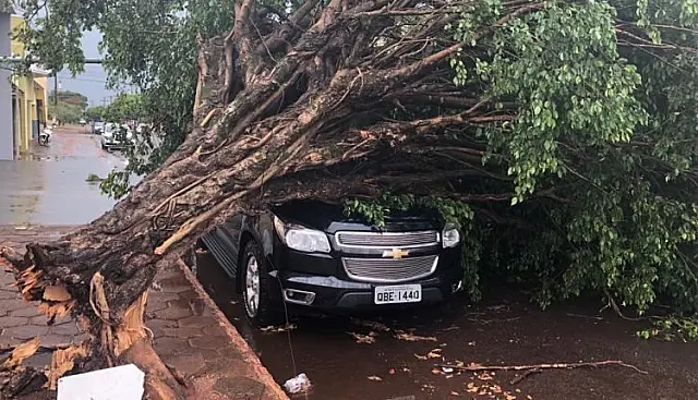 Ventos chegam a 87,12 km/h e causam quedas de árvores e destelhamentos em MS