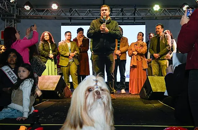 MS lança certificação para protetores de animais e ONGs