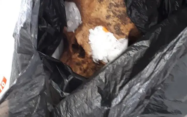Boliviano que saiu de Campo Grande é preso em SP com crânio humano na bagagem