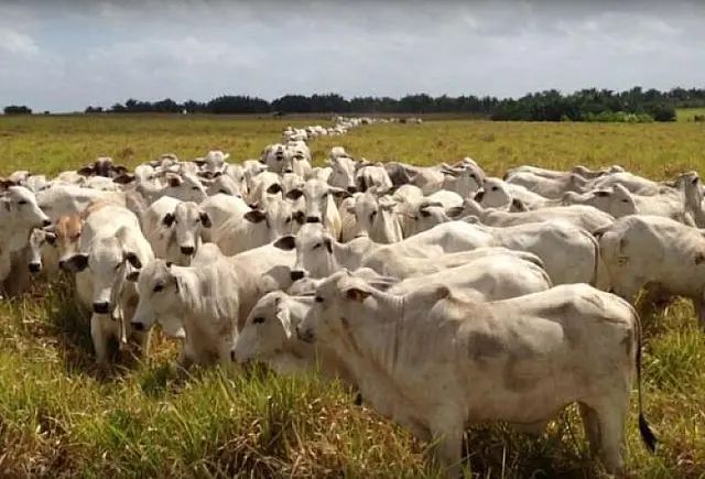 Crédito rural em julho cai 8%, mas total contratual mostra alta de 15%
