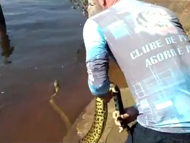 Turista é suspeito de maltratar sucuri no Pantanal de MS; assista ao vídeo