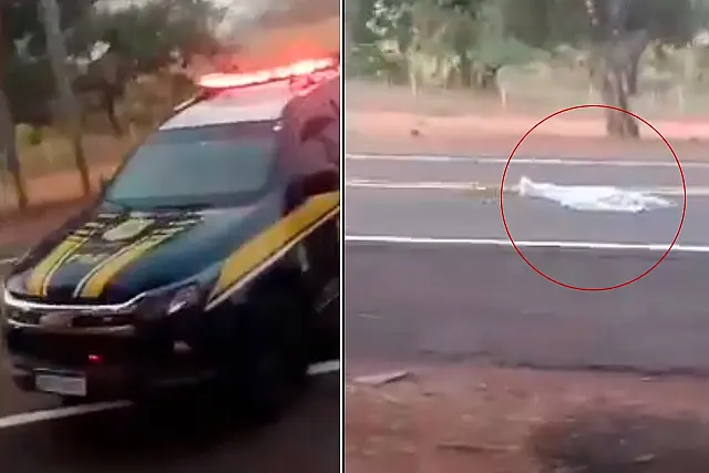 Criança de 12 anos morre atropelada por camionete ao atravessar BR-262