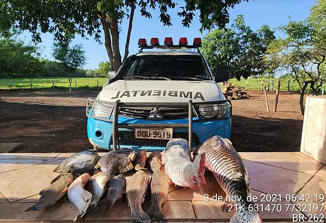 PMA autua dois por captura e transporte de pescado