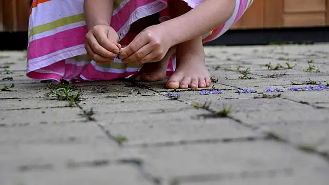 Casal se embriaga, brigam e abandonam os filhos de 2 e 3 anos na rua