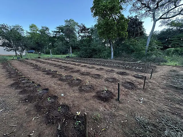 Curso de cultivo orgânico capacita indígenas da Aldeia Cachoeirinha em Miranda