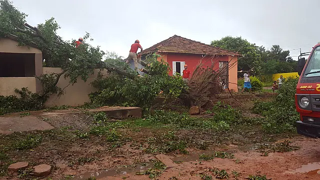 Moradores estavam em casa e se assustaram quando árvore caiu